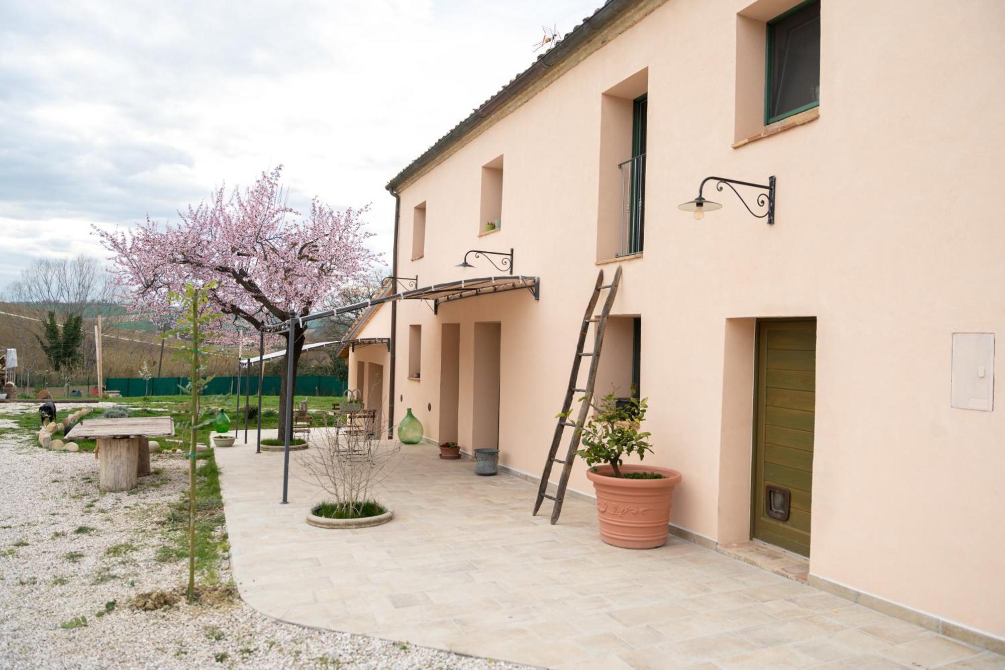 B&B Le Rondini Ostra Senigallia Casine  Eksteriør bilde