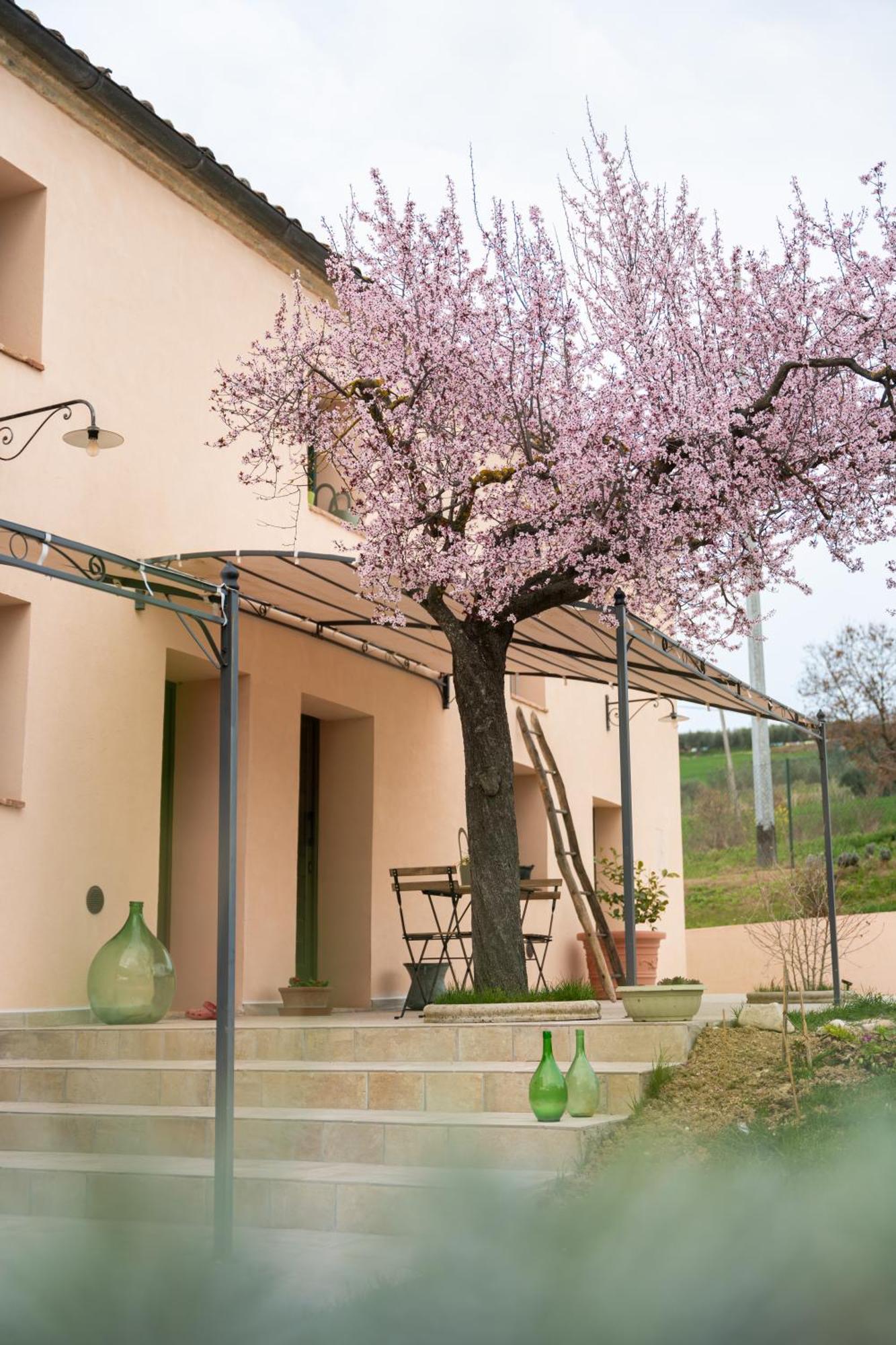B&B Le Rondini Ostra Senigallia Casine  Eksteriør bilde